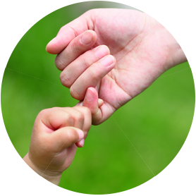 食材5食バランス健康法のイメージ